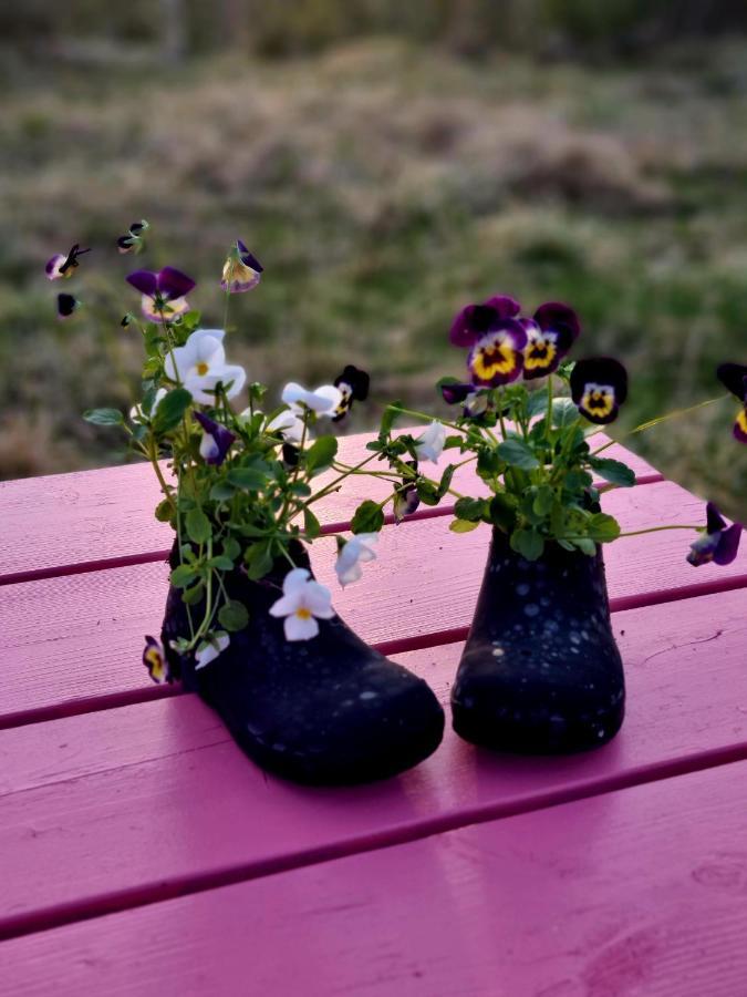 Kaldá Lyngholt Holiday Homes Egilsstadir Kültér fotó